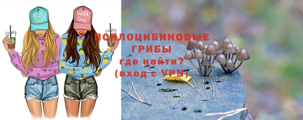 соль ск Бородино