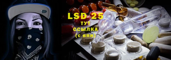 ешки Бронницы