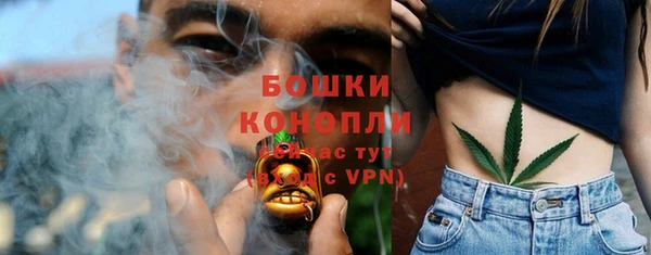 соль ск Новодвинск