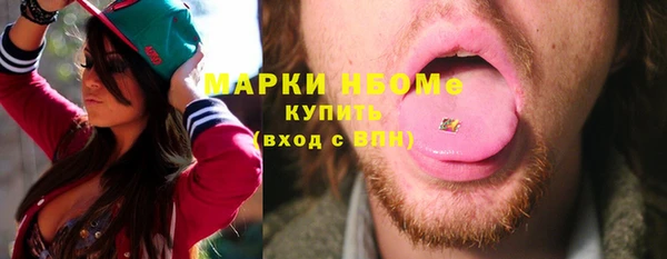 соль ск Бородино