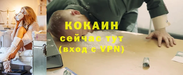 соль ск Бородино