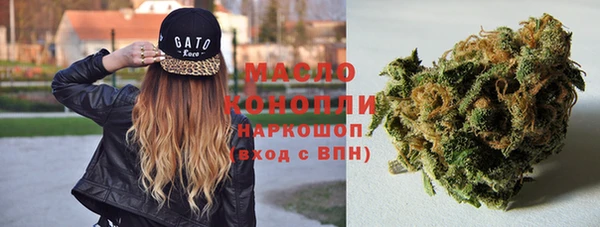 ешки Бронницы