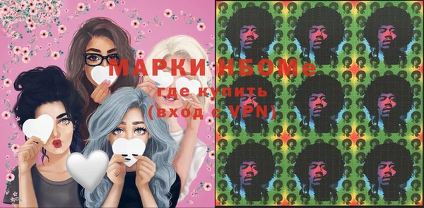 ПСИЛОЦИБИНОВЫЕ ГРИБЫ Верея