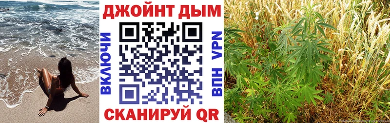 Бошки Шишки OG Kush  ОМГ ОМГ как зайти  Гудермес  где купить  